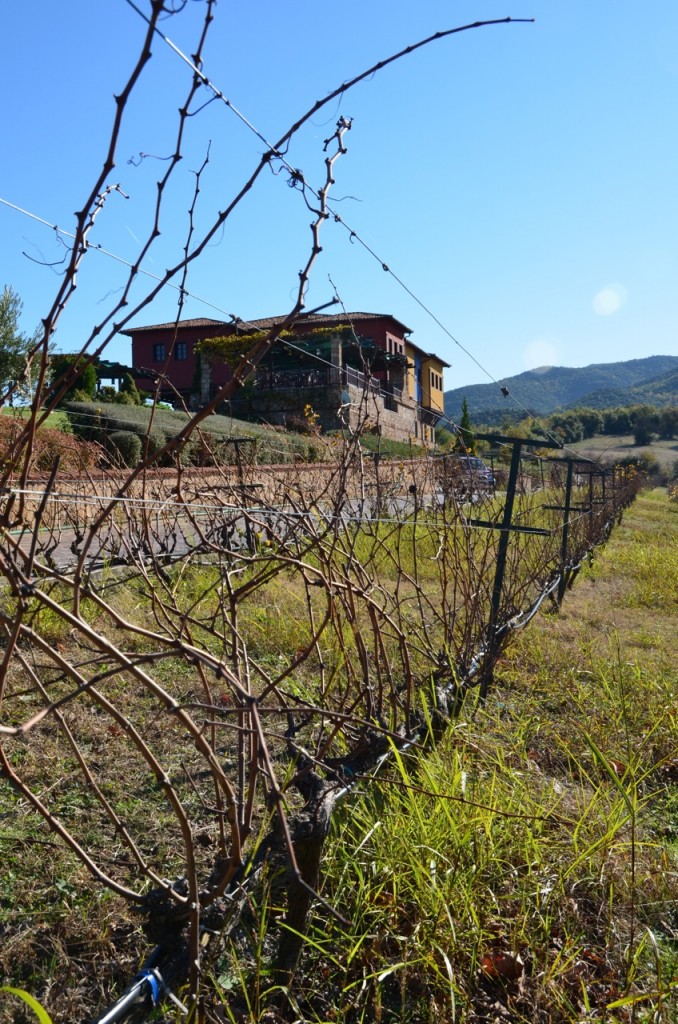 The Kalaitzis Estate, Vergina