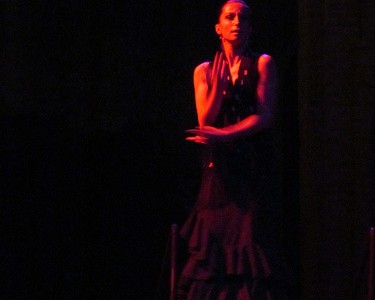 Flamenco in the Dark